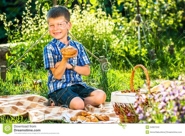 The Picnic Law