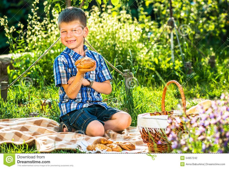 Cute-kid-boy-having-picnic-garden-54957242.jpg
