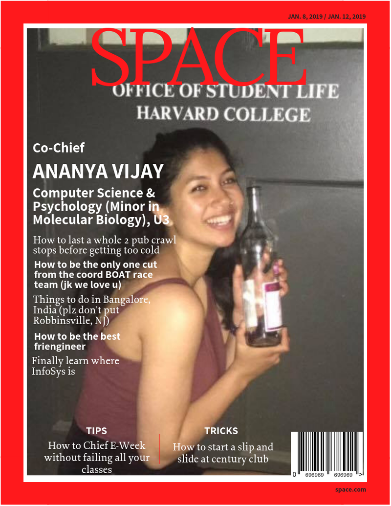 Ananya Vijay